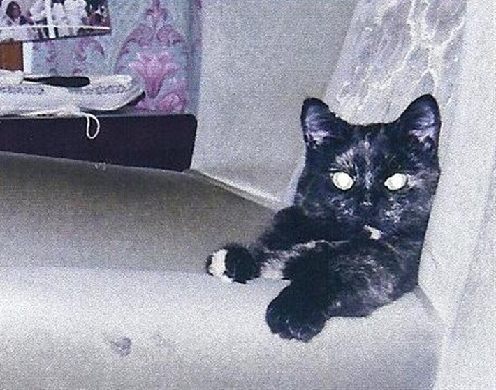 My favourite chair
